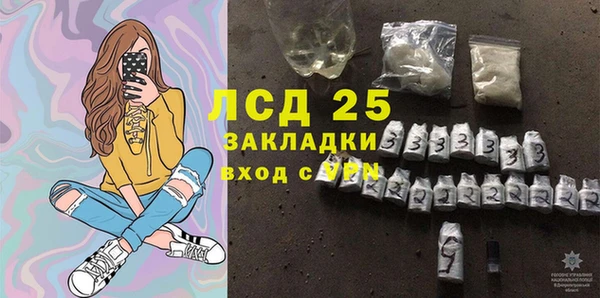 гидра Володарск
